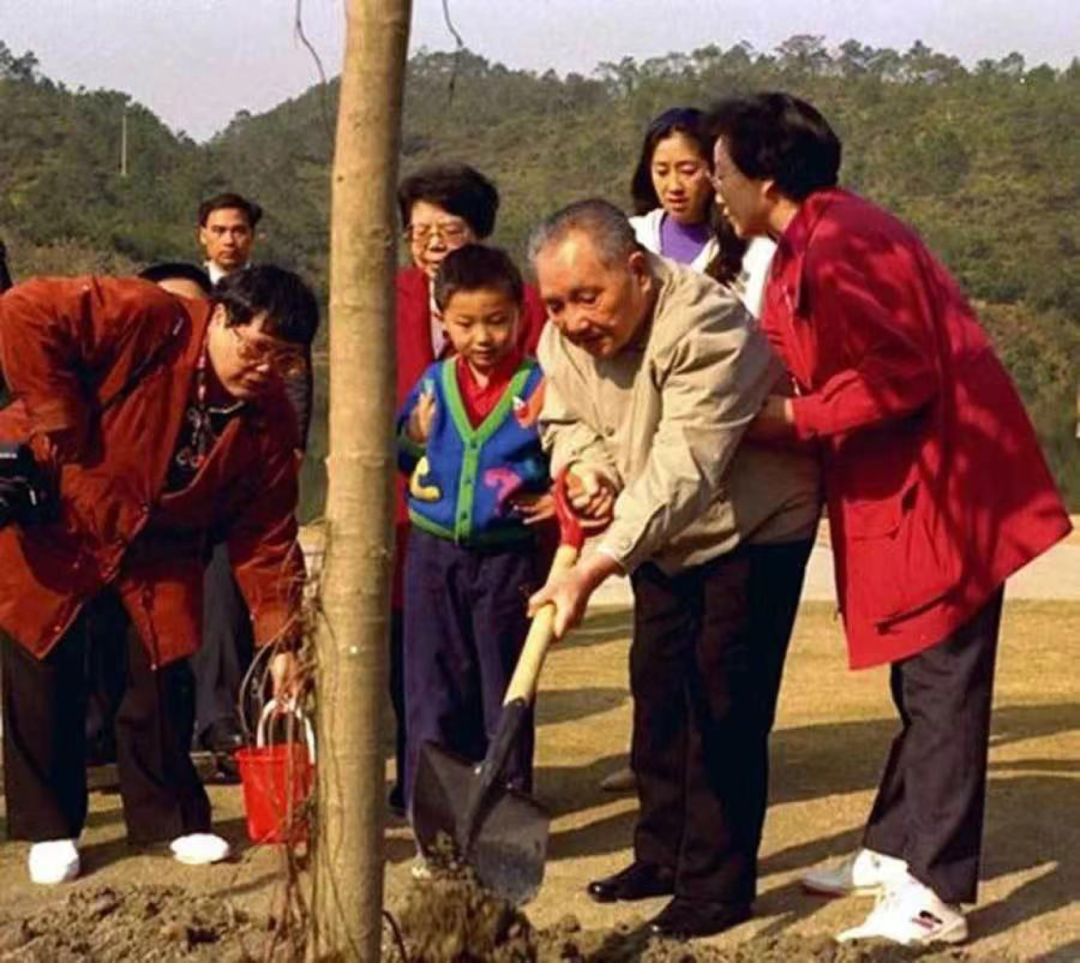 在南巡到达深圳时，邓小平曾前往仙湖植树。当深圳仙湖植物园管理处负责人介绍玉树又叫发财树时，邓榕对父亲说，“这是发财树，我们都来摸一下嘛，都发财”“以后咱们家也种一棵”。邓小平回答：“让全国人民都种，让全国人民都发财。”.png