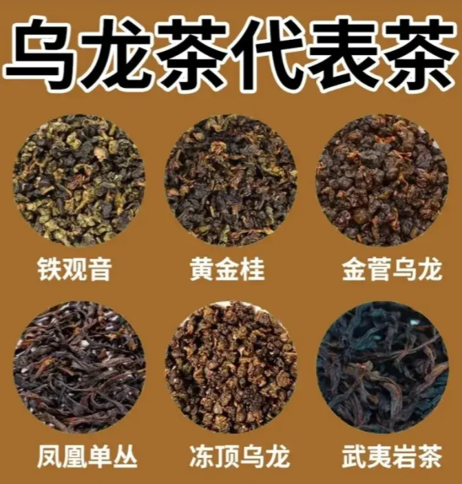 乌龙茶代表.png