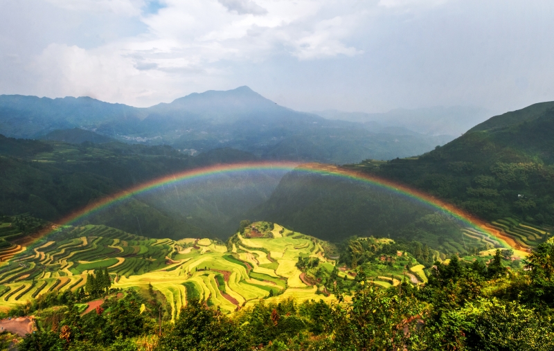 诗画小舟山景区——梯田风光.jpg