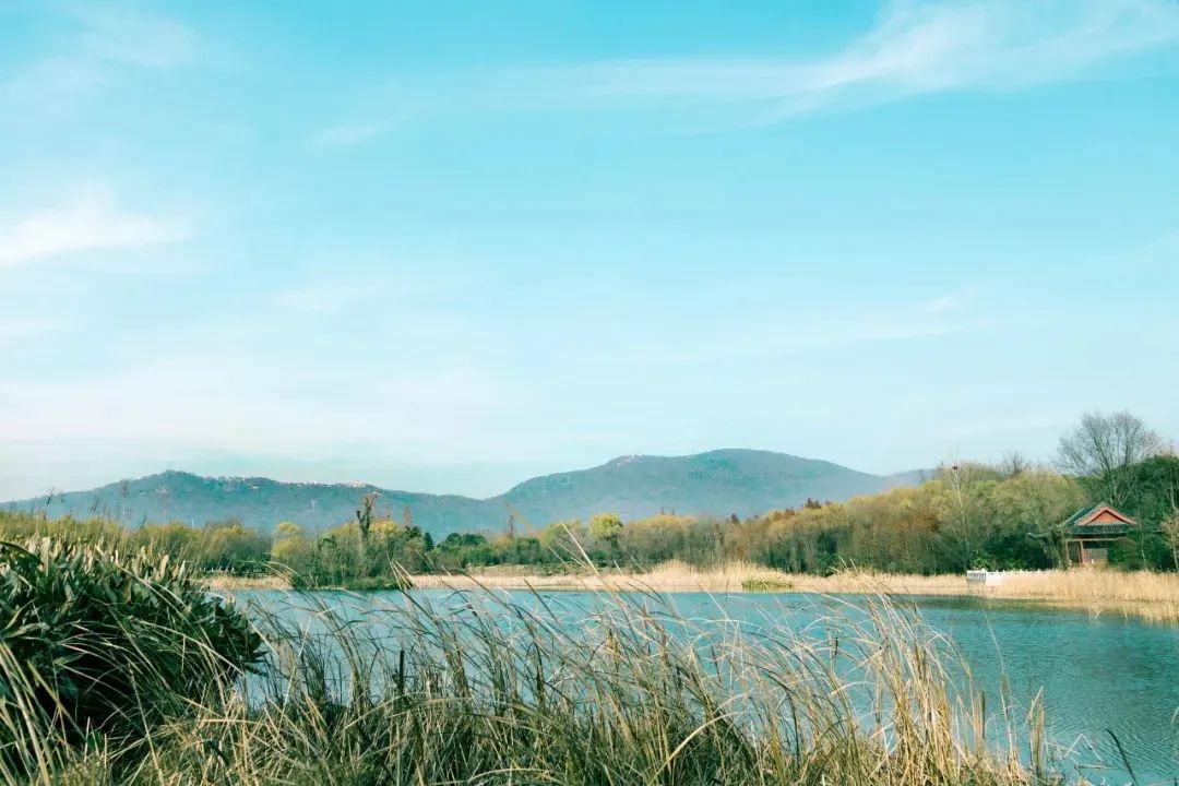 山际见来烟，竹中窥落日。.jpg