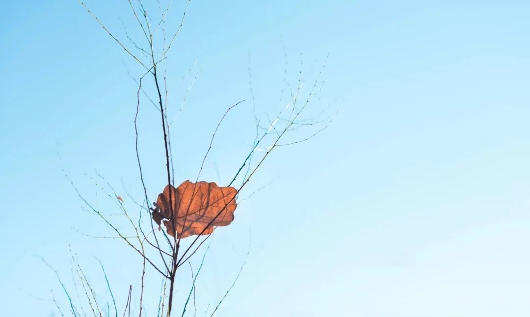 渡水复渡水，看花还看花。.jpg