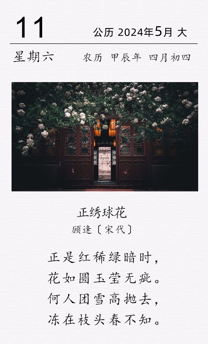 顾逢《正绣球花》.jpg