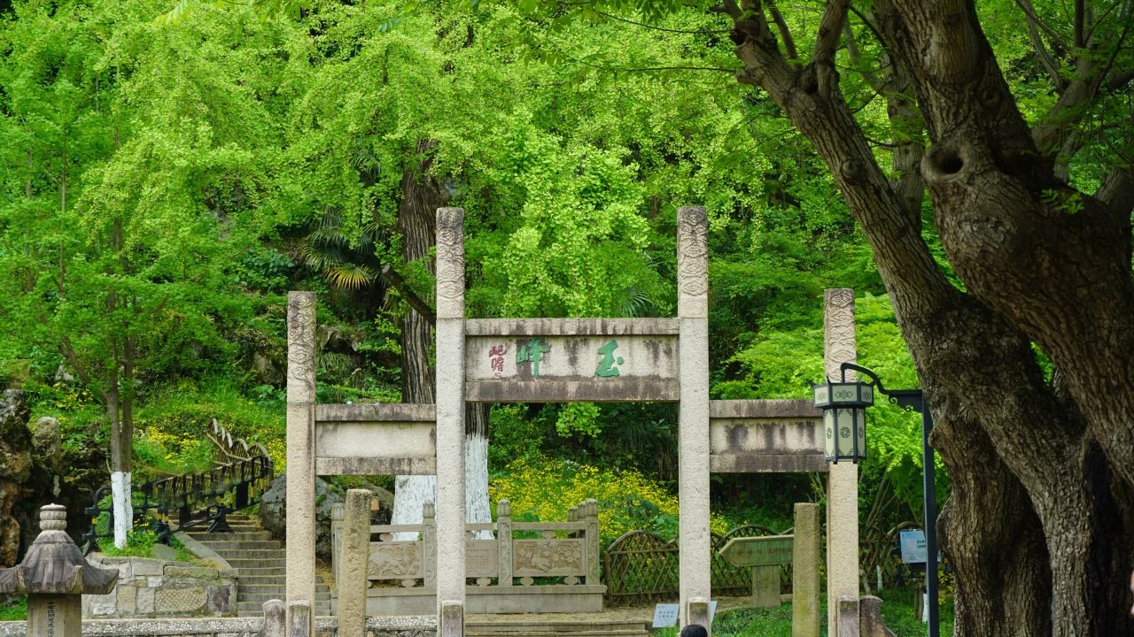 夏风中，有“独属于夏日”的生气4.jpg