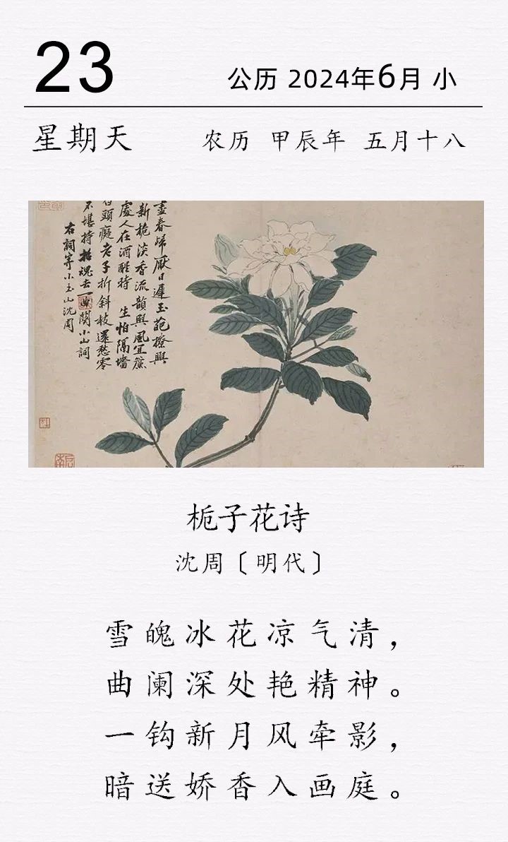 沈周《栀子花诗》.jpg