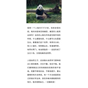 不计较，才是真正的爱自己