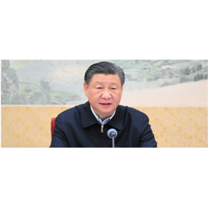 中共中央政治局常务委员会召开会议 习近平主持会议