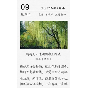 苏庠《鹧鸪天·过湖阴席上赠妓》