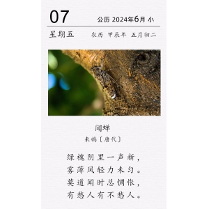 来鹄《闻蝉》