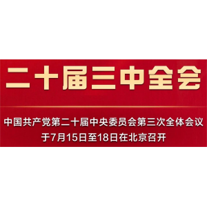 7月15日，人民日报发表任仲平文章